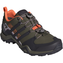 adidas TERREX Swift R2 GORE-TEX Wanderschuhe Damen AETE - olistr/aurbla/ambtin 38