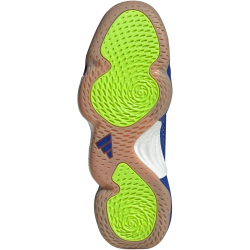 adidas Stabil 16 Indoor Hallenschuhe Herren AETB - lucblu/ftwwht/luclem 42 2/3