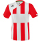 erima Siena 3.0 Trikot kurzarm
