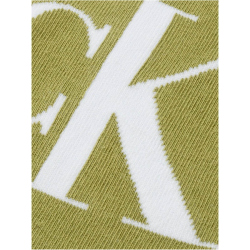 2er Pack Calvin Klein Logo Socken Herren 003 - white/green