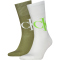 2er Pack Calvin Klein Logo Socken Herren 003 - white/green