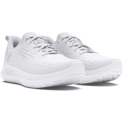 UNDER ARMOUR Velociti 4 Laufschuhe Damen 100 -...