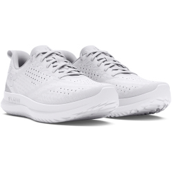 UNDER ARMOUR Velociti 4 Laufschuhe Herren 102 -...