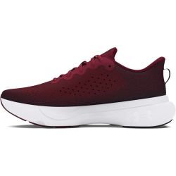 UNDER ARMOUR Infinite Laufschuhe Herren 600 - cardinal/black/racer red 43