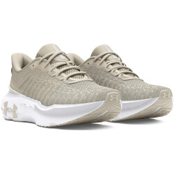 UNDER ARMOUR Infinite Elite Laufschuhe Herren 107 -...