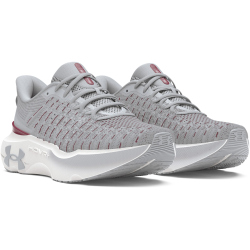 UNDER ARMOUR Infinite Elite Laufschuhe Herren 106 - mod gray/mod gray/cardinal 44.5