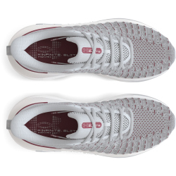 UNDER ARMOUR Infinite Elite Laufschuhe Herren 106 - mod gray/mod gray/cardinal 44.5