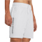 UNDER ARMOUR Woven Shorts Herren 014 - halo gray/black L