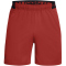 UNDER ARMOUR Vanish 6" Trainingsshorts Herren 840 - earthen orange/black XXL