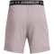 UNDER ARMOUR Vanish 6" Trainingsshorts Herren 015 - tetra gray/black XXL
