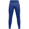 UNDER ARMOUR Fleece Jogginghose Herren 432 - tech blue/black M