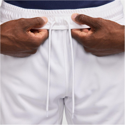 NIKE Paris Saint-Germain Dri-FIT Stadium Auswärtsshorts Herren
