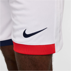 NIKE Paris Saint-Germain Dri-FIT Stadium Auswärtsshorts Herren