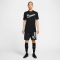 NIKE Academy 23 Dri-FIT Trikot Herren