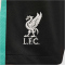 NIKE FC Liverpool Dri-FIT Stadium Auswärtsshorts Herren