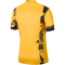 NIKE Inter Mailand Dri-FIT Stadium Ausweichtrikot 2024/25 Herren