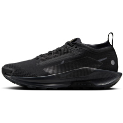 NIKE Pegasus Trail 5 GORE-TEX Trailrunning-Schuhe Damen