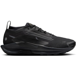 NIKE Pegasus Trail 5 GORE-TEX Trailrunning-Schuhe Damen