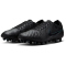 NIKE Tiempo Legend 10 Elite AG Fußballschuhe