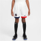 NIKE Paris Saint-Germain Dri-FIT Stadium Auswärtsshorts Kinder 100 - white/university red/midnight navy XS (122-128 cm)