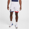 NIKE Paris Saint-Germain Dri-FIT Stadium Auswärtsshorts Herren 100 - white/university red/midnight navy M