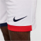 NIKE Paris Saint-Germain Dri-FIT Stadium Auswärtsshorts Herren 100 - white/university red/midnight navy M
