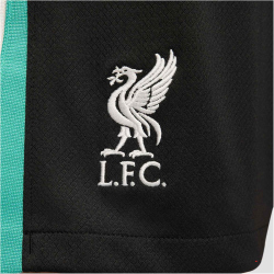 NIKE FC Liverpool Dri-FIT Stadium Auswärtsshorts...