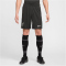 NIKE FC Liverpool Dri-FIT Stadium Auswärtsshorts Herren 321 - night forest/anthracite/washed teal/sail XL