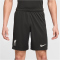 NIKE FC Liverpool Dri-FIT Stadium Auswärtsshorts Herren 321 - night forest/anthracite/washed teal/sail XL