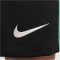 NIKE FC Liverpool Dri-FIT Stadium Auswärtsshorts Herren 321 - night forest/anthracite/washed teal/sail XL