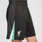 NIKE FC Liverpool Dri-FIT Stadium Auswärtsshorts Herren 321 - night forest/anthracite/washed teal/sail XL