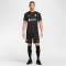 NIKE FC Liverpool Dri-FIT Stadium Auswärtsshorts Herren 321 - night forest/anthracite/washed teal/sail XL