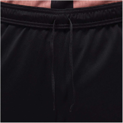 NIKE Paris Saint-Germain Dri-FIT Strike...