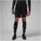 NIKE Paris Saint-Germain Dri-FIT Strike Ausweichshorts Herren 010 - black/rust pink/mtlc red bronze XL