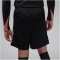NIKE Paris Saint-Germain Dri-FIT Strike Ausweichshorts Herren 010 - black/rust pink/mtlc red bronze XL