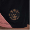 NIKE Paris Saint-Germain Dri-FIT Strike Ausweichshorts Herren 010 - black/rust pink/mtlc red bronze XL