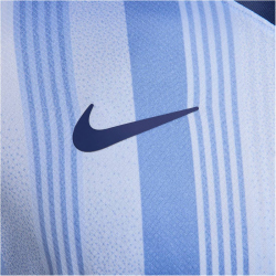 NIKE Tottenham Hotspur Dri-FIT Stadium Ausw&auml;rtstrikot 2024/25 Herren 480 - cobalt bliss/binary blue S