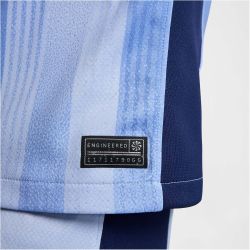 NIKE Tottenham Hotspur Dri-FIT Stadium Ausw&auml;rtstrikot 2024/25 Herren 480 - cobalt bliss/binary blue S