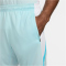 NIKE Strike Dri-FIT Fußballshorts Herren 474 - glacier blue/white/baltic blue/white S