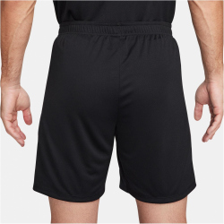 NIKE Strike Dri-FIT Fußballshorts Herren 010 -...