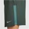 NIKE Dri-FIT Challenger 7" Laufshorts Herren 338 - vintage green/bicoastal/reflective silv S