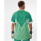 JAKO VfB Stuttgart Torwart Heimtrikot 2024/25 Herren