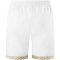 JAKO 1. FSV Mainz 05 Ausweichshorts 2024/25 Herren