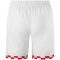 JAKO 1. FSV Mainz 05 Heimshorts 2024/25 Herren