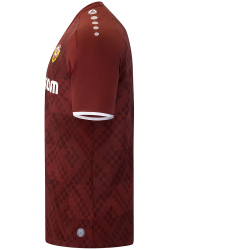 JAKO Dynamo Dresden Ausweichtrikot 2024/25 Herren