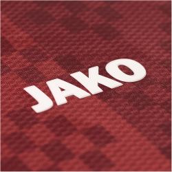 JAKO Dynamo Dresden Ausweichtrikot 2024/25 Herren