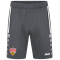 JAKO VfB Stuttgart Allround Trainingsshorts 2024/25 Herren 820 - anthra light S