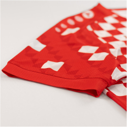 JAKO 1. FSV Mainz 05 Heimtrikot 2024/25 Herren 601 - rot S