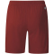 JAKO Dynamo Dresden Ausweichshorts 2024/25 Herren 150 - weinrot M