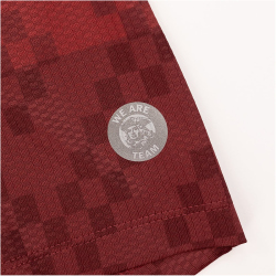 JAKO Dynamo Dresden Ausweichtrikot 2024/25 Herren 150 - weinrot 4XL